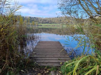 Apartment Rommersheim Forest Retreat - Environment photo 26