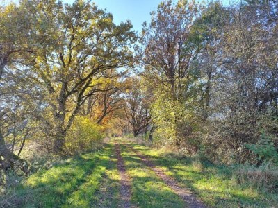 Apartment Rommersheim Forest Retreat - Environment photo 29