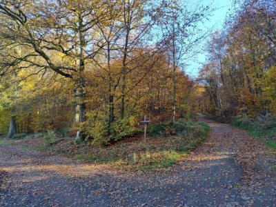 Apartment Rommersheim Forest Retreat - Environment photo 35