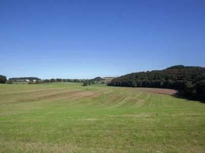 Apartment Halenfeld Family Farm Stay - Environment photo 27