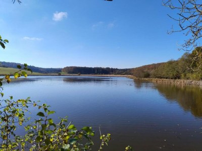Apartment Eschfeld Sauna Apartment - Environment photo 22