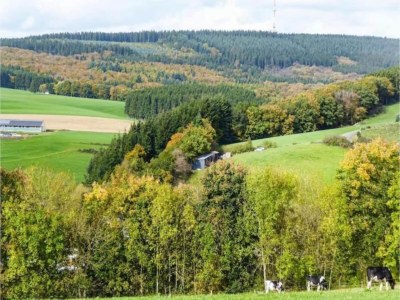 Apartment Eschfeld Sauna Apartment - Environment photo 28