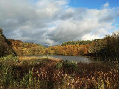 Apartment Eschfeld Sauna Apartment - Environment photo 32