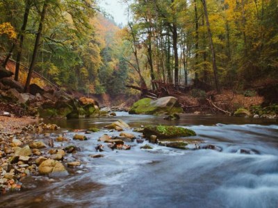 Apartment Eschfeld Sauna Apartment - Environment photo 34