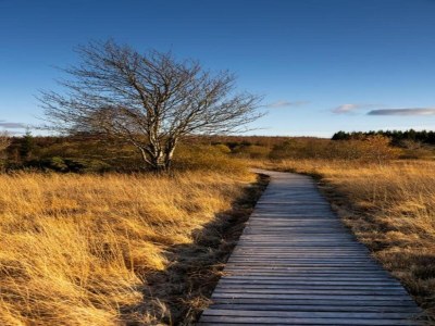 Apartment Eschfeld Sauna Apartment - Environment photo 35