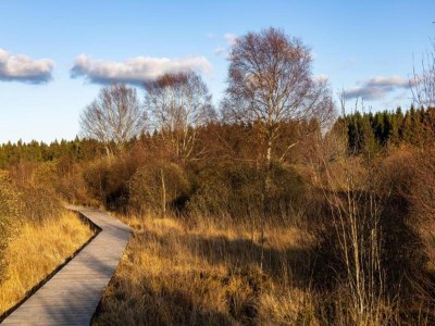 Apartment Eschfeld Sauna Apartment - Environment photo 37