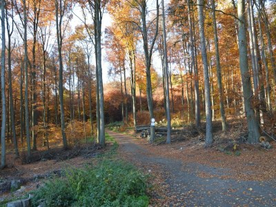 Holiday house Private Mountain Lodge, Bad Ems - Environment photo 31