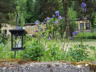 Apartment gemütliche Ferienwohnung in Kaifenheim - Outdoor photo 7