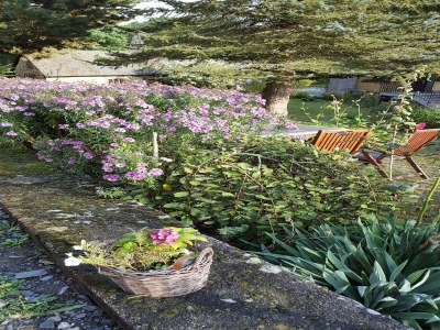 Apartment gemütliche Ferienwohnung in Kaifenheim - Outdoor photo 11