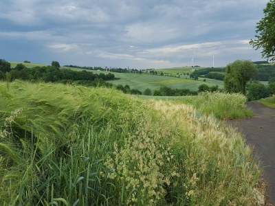 Apartment gemütliche Ferienwohnung in Kaifenheim - Outdoor photo 12