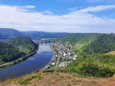 Apartment gemütliche Ferienwohnung in Kaifenheim - Environment photo 30