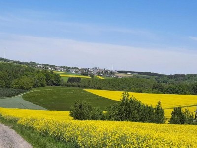 Apartment gemütliche Ferienwohnung in Kaifenheim - Environment photo 31
