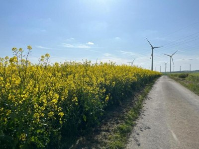 Apartment gemütliche Ferienwohnung in Kaifenheim - Environment photo 33