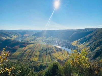 Apartment gemütliche Ferienwohnung in Kaifenheim - Environment photo 36