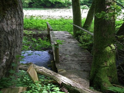 Apartment gemütliche Ferienwohnung in Kaifenheim - Environment photo 37