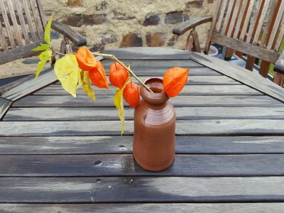 Apartment gemütliche Ferienwohnung in Kaifenheim - Outdoor photo 38