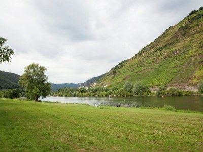 Apartment Ernst Lakeside Escape - Environment photo 17