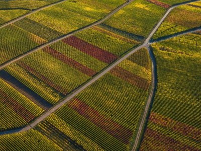 Apartment Ernst Lakeside Escape - Environment photo 20