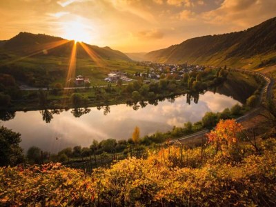 Apartment Ernst Lakeside Escape - Environment photo 23