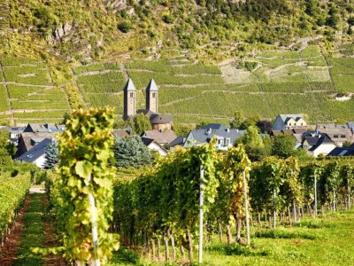 Apartment Ernst Lakeside Escape - Environment photo 25