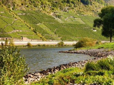 Apartment Ernst Lakeside Escape - Environment photo 27