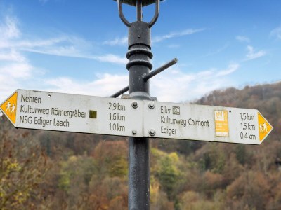 Apartment Rückzugsort an der Mosel - Outdoor photo 40