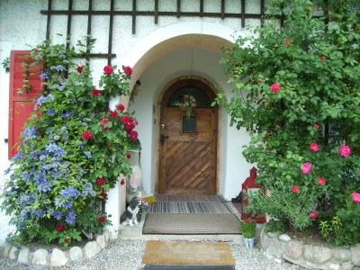 Holiday apartment Villa Carissima - Outdoor photo 12