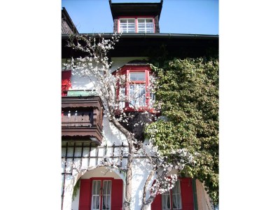 Holiday apartment Villa Carissima - Outdoor photo 18