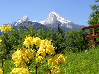 Holiday apartment Villa Carissima - Outdoor photo 20