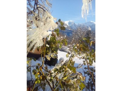 Holiday apartment Villa Carissima - Environment photo 29