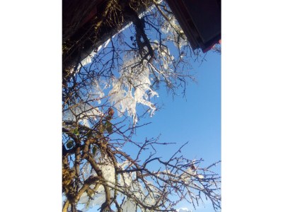 Holiday apartment Villa Carissima - Environment photo 30