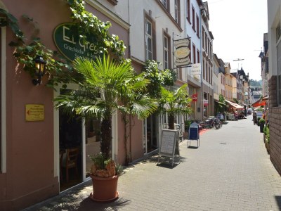 Apartment Zell Riverside Comfort - Environment photo 34