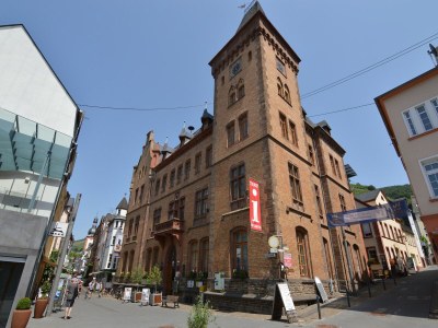 Apartment Apartment in Zell near Mosel River & Vineyards - Environment photo 25