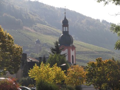 Apartment Apartment in Zell near Mosel River & Vineyards - Environment photo 27