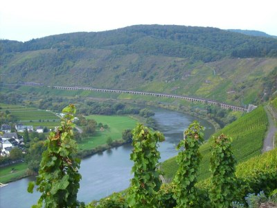 Apartment Apartment in Zell near Mosel River & Vineyards - Environment photo 30