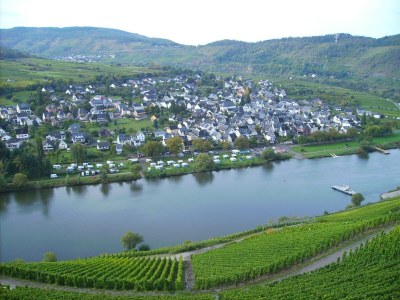 Apartment Apartment in Zell near Mosel River & Vineyards - Environment photo 32