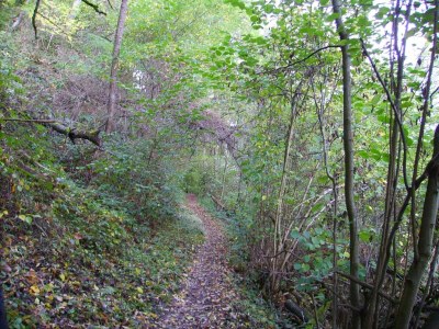 Apartment Apartment in Zell near Mosel River & Vineyards - Environment photo 34