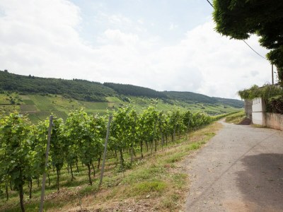 Apartment Malerisches Ferienhaus in Reil - Environment photo 30