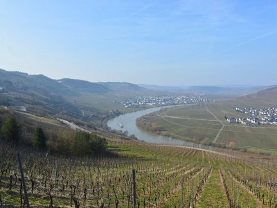 Holiday house Farmhouse Escape in Haserich - Environment photo 34