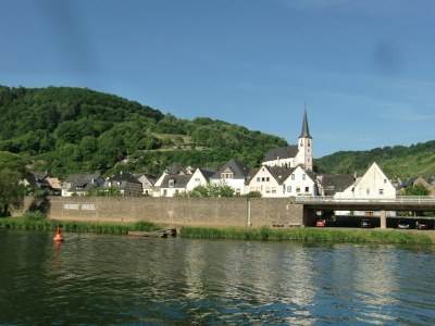 Holiday house Ferienhaus in Briedel an der Mosel - Environment photo 24