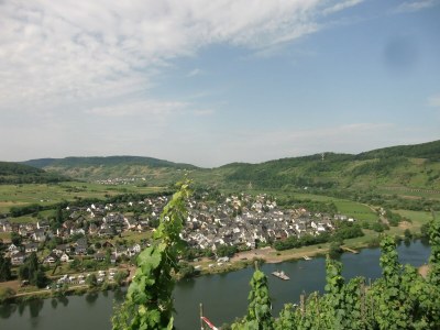 Holiday house Ferienhaus in Briedel an der Mosel - Environment photo 25