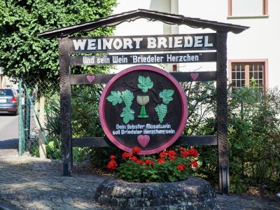 Holiday house Ferienhaus in Briedel an der Mosel - Environment photo 28