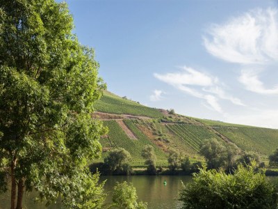 Holiday house Ferienhaus in Briedel an der Mosel - Environment photo 29