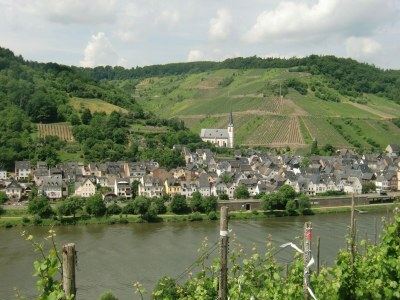 Holiday house Ferienhaus in Briedel an der Mosel - Environment photo 30