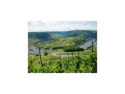 Holiday house Ferienhaus in Briedel an der Mosel - Environment photo 31