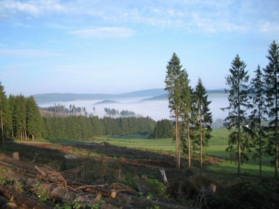 Holiday house Naturparadies Bad Laasphe - Environment photo 28