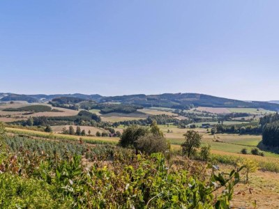 Holiday house Naturparadies Bad Laasphe - Environment photo 29