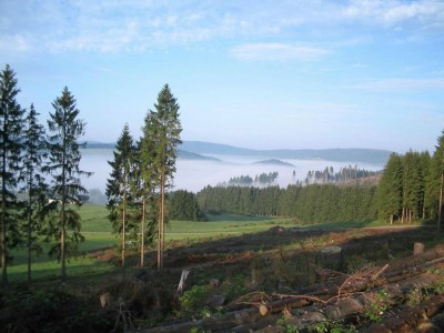 Holiday house Naturparadies Bad Laasphe - Environment photo 32