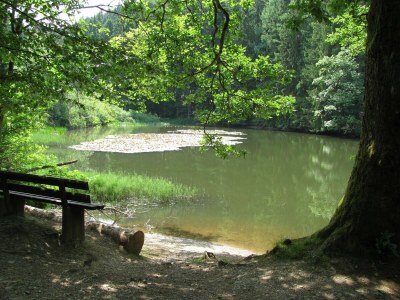 Holiday house Naturparadies Bad Laasphe - Environment photo 33