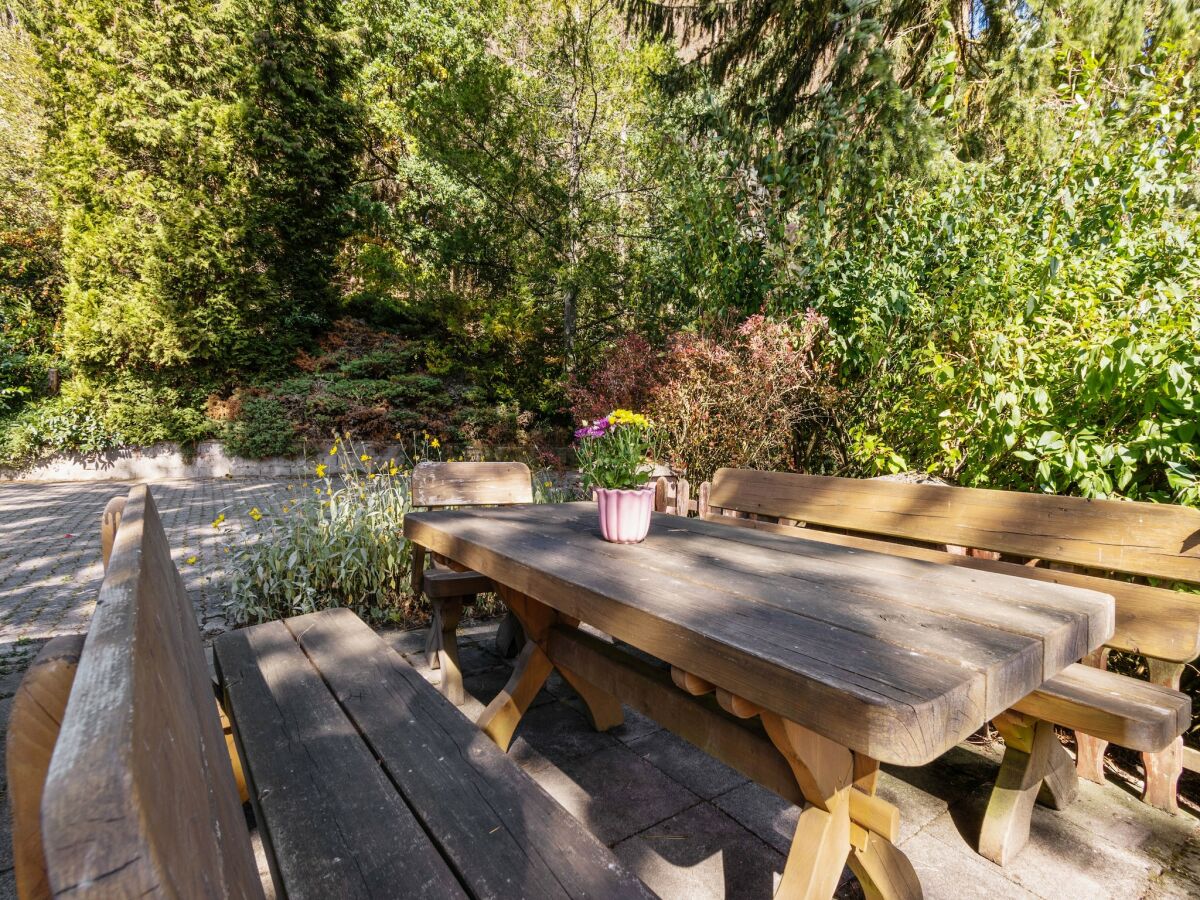 Apartment Gemütliche Wohnung in der Nähe des Skigebiets - Outdoor photo 4